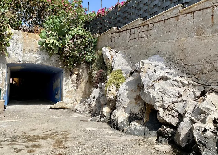 Charlotte 아파트 팔레르모