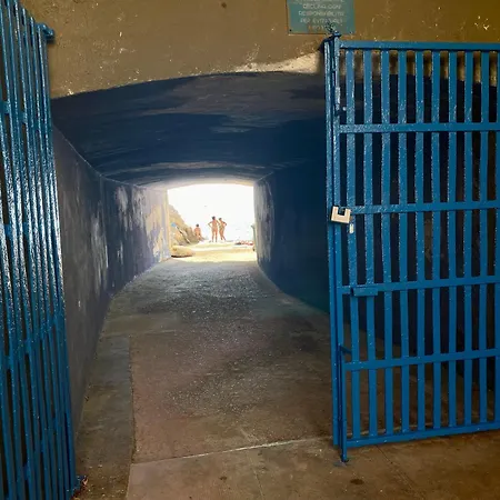 Charlotte * פלרמו